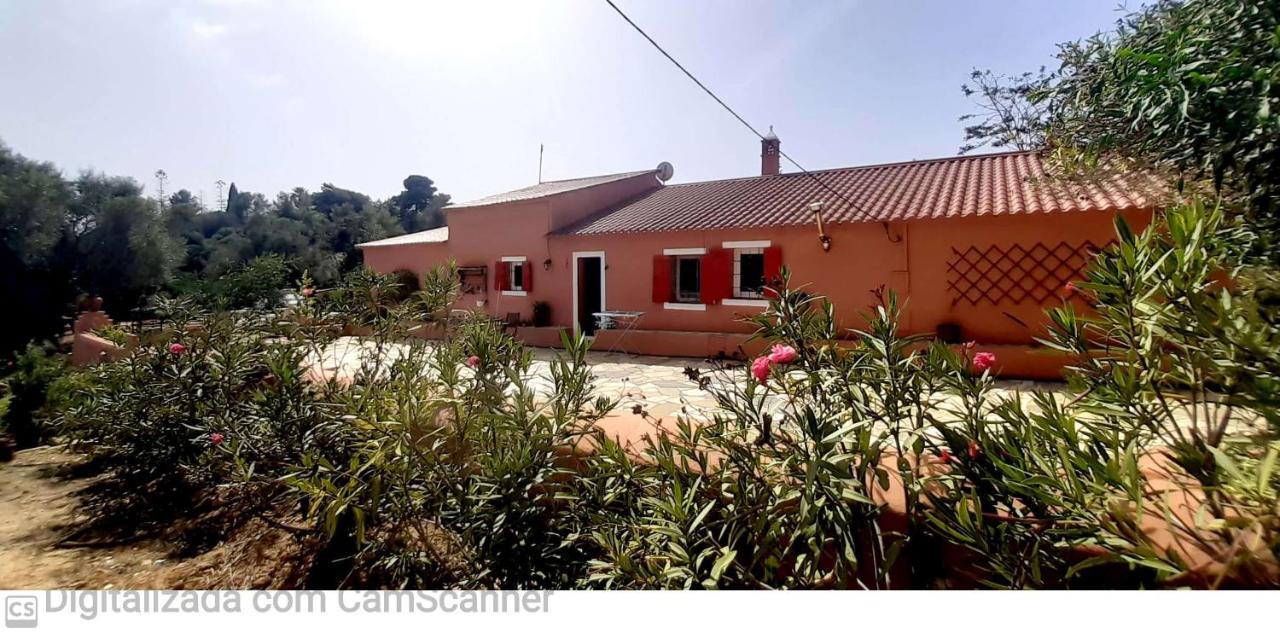 Holiday home Monte Funchal *
