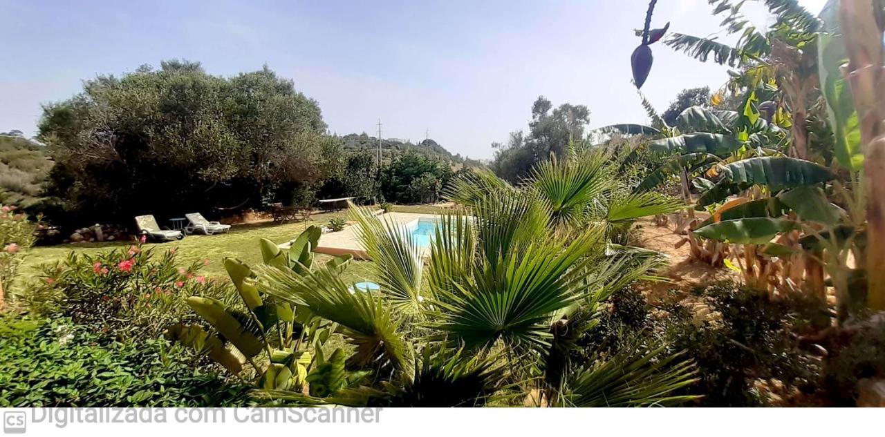 Holiday home Monte Funchal *